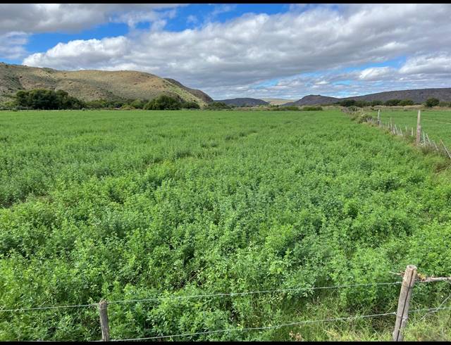 338HA FARM FOR SALE IN LADISMITH RURAL